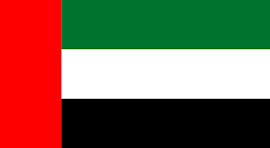 dubai flag